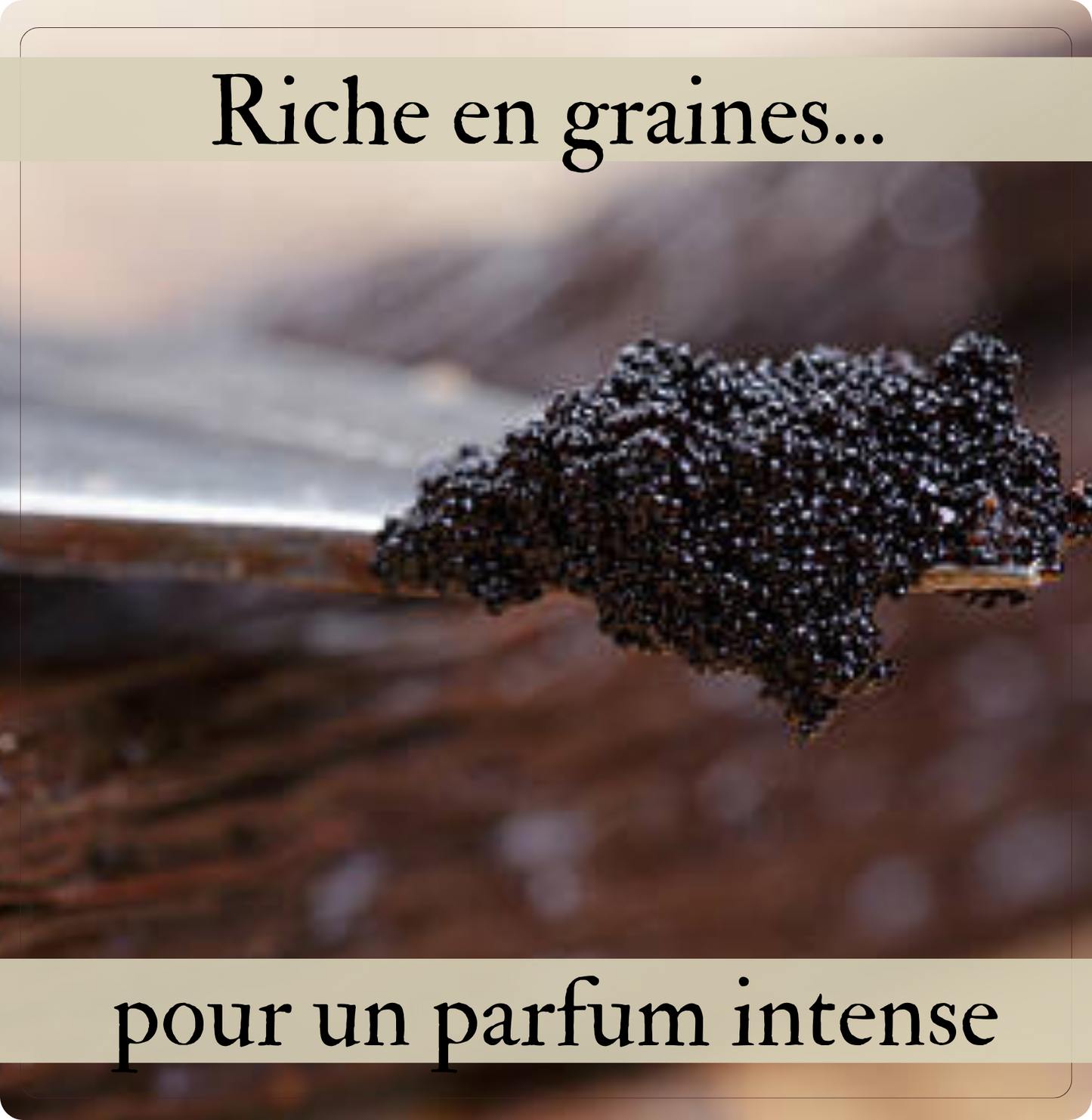 10 Gousses de vanille Bourbon BIO