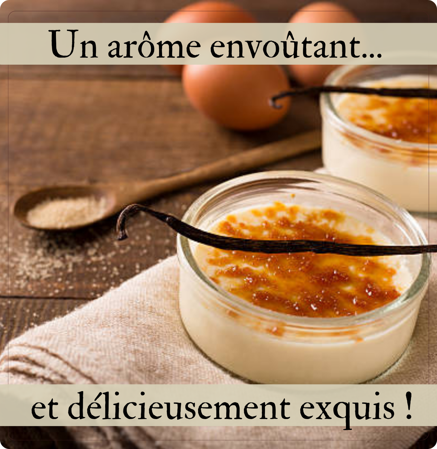 5 Gousses de vanille Noire Bourbon BIO